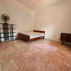 Ceylon Road (D15), Terrace #513839741